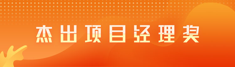 杰出项目经理奖