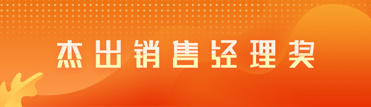 杰出销售经理奖