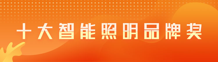 十大智能照明品牌奖
