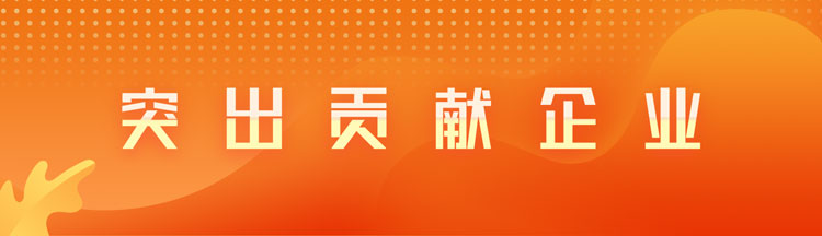 突出贡献企业