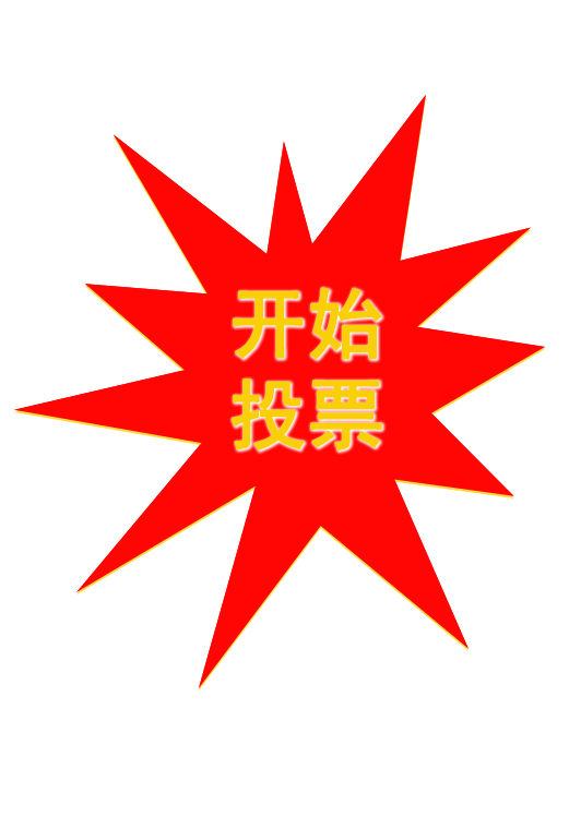 投票