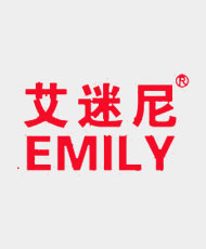 江门市江海区艾迷尼光电科技有限公司