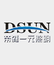 广东帝森一元照明科技有限公司