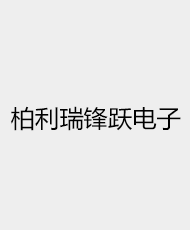 宁波柏利瑞锋跃电子有限公司