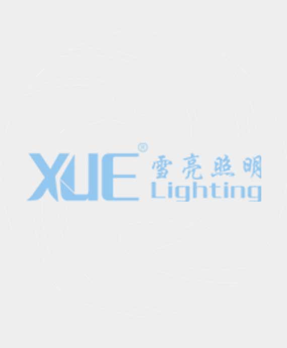 广东雪亮照明科技有限公司