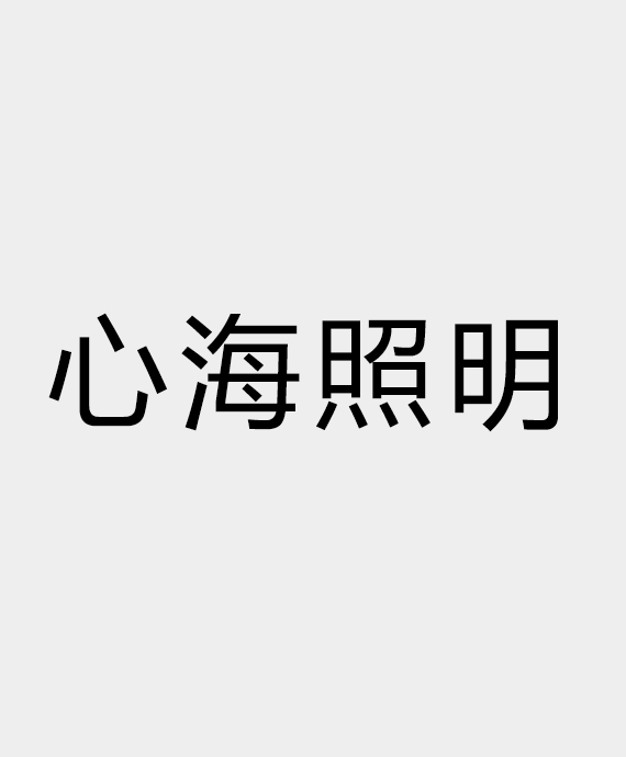 广东心海照明工程有限公司