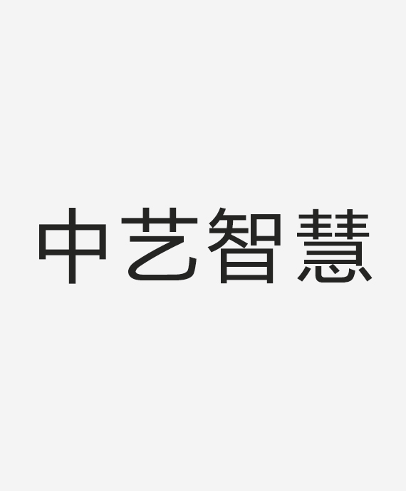 中山市中艺智慧路灯有限公司