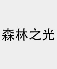 北京森林之光科技有限公司