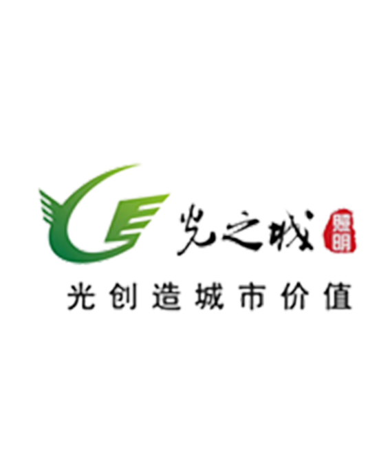 广东光之城照明科技有限公司