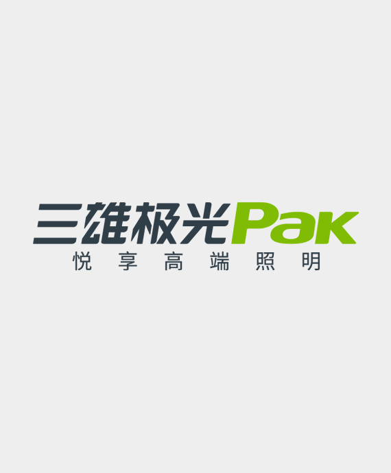广东三雄极光照明股份有限公司