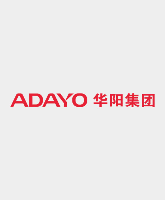 惠州市华阳集团股份有限公司