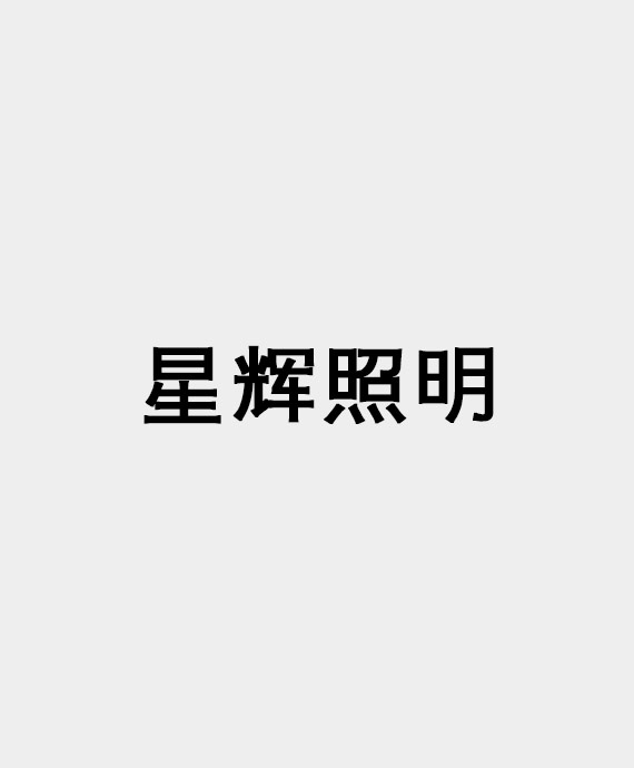 临沂星辉照明工程有限公司