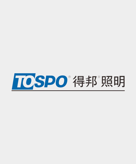 横店集团得邦照明股份有限公司