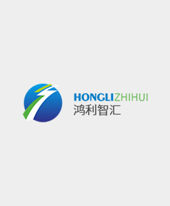 鸿利智汇集团股份有限公司