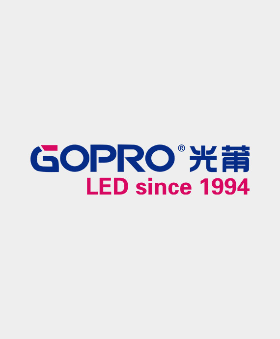 厦门光莆电子股份有限公司