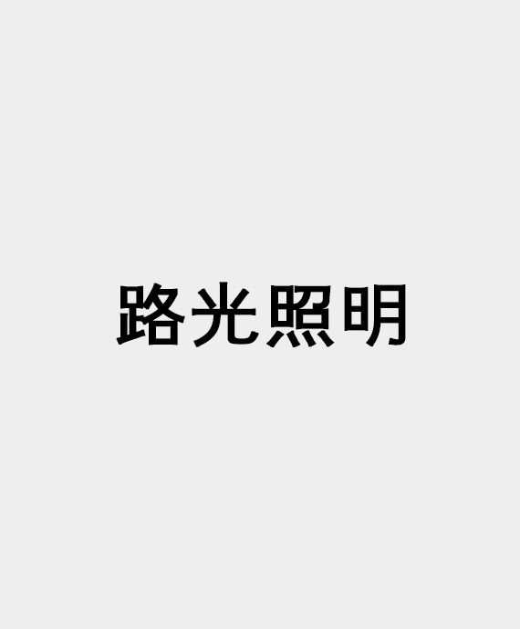 长春市路光照明工程安装有限公司