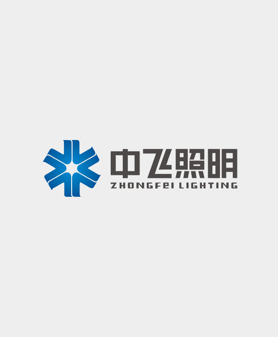 河南新中飞照明电子有限公司