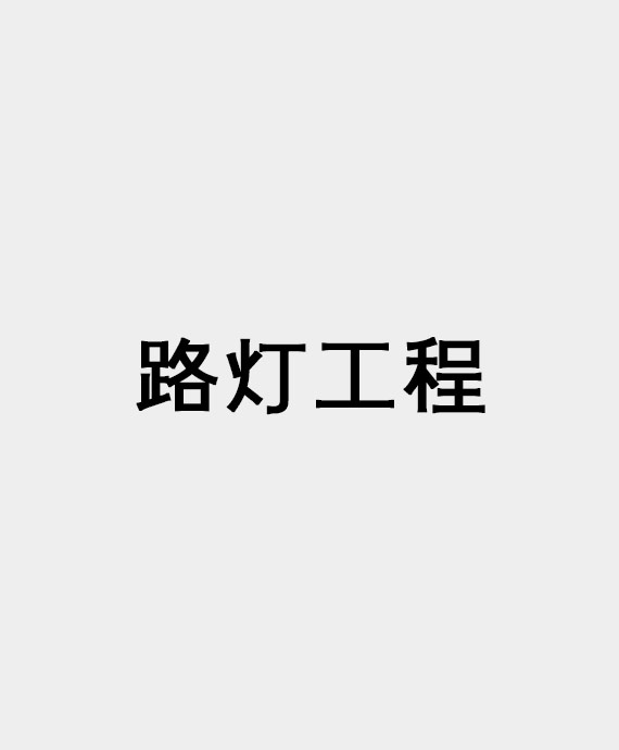 南京路灯工程建设有限责任公司